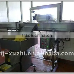 Fully Automatic Oil Fried Potato Stick Production Line thumbnail-1