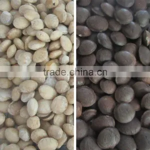 ZRWS Ccd Cereal Nut Color Sorter Supplier With Competitive Price thumbnail-4