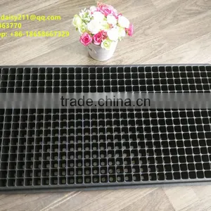 Polystyrene Seedling Tray 512 Cell Vegetable Seeds thumbnail-1