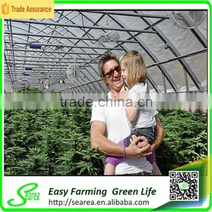 New Style Single Span Agricultural Plastic Greenhouse thumbnail-1