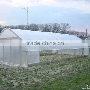 Simple Structure Tunnel Greenhouse For Vegetables/Flowers/Fruits thumbnail-2
