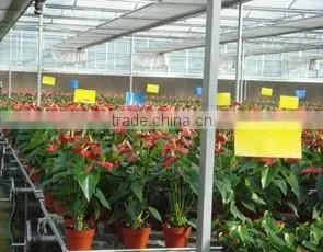 Greenhouse Kits- 2 thumbnail-2