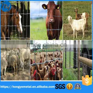 Welded Wire Mesh Prices/welded Wiremesh Export Abroad thumbnail-3