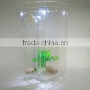 my Fun Fish Clean Tank With LED thumbnail-1
