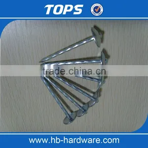 Galvanized Umbrella Head Roofing Nails With Smooth/Twist Shank by Low Price thumbnail-6