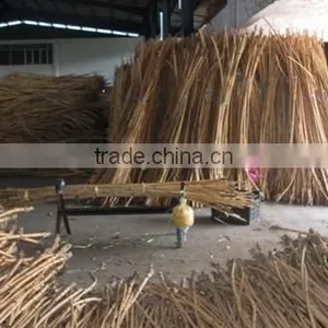 Rattan Root thumbnail-1