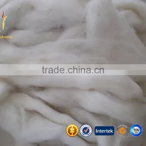 Brown Define Cashmere Fiber for Sale thumbnail-2