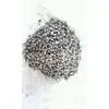 Stable 75 FerroSilicon Alloys With Ca / Fe /Si / Al as De-oxygen Agent For Steelmaking thumbnail-1