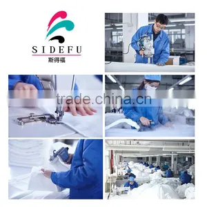 Jiangsu Sidefu Textile Co., Ltd. company overview - view 4 thumbnail