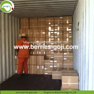 Factory Wholesale Dried Low Pesticide Goji Berry thumbnail-5