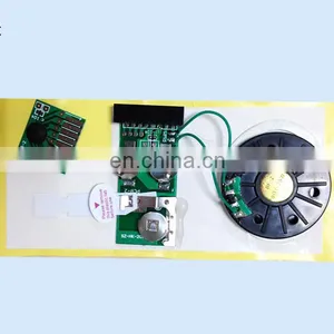 Programmer Sound Chip for Greeting Cards thumbnail-3