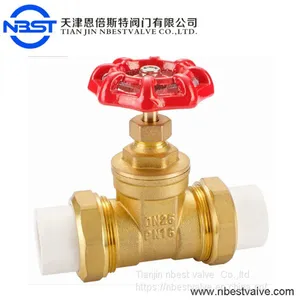 Double Union Ppr Pipe Connect Low Pressure Manual Brass Gate Valve thumbnail-1