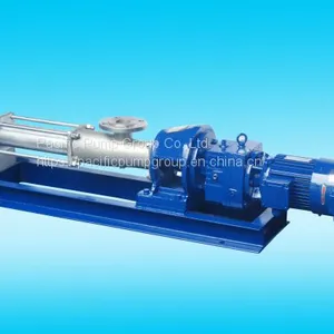 G Model Progressive Cavity Pump thumbnail-3