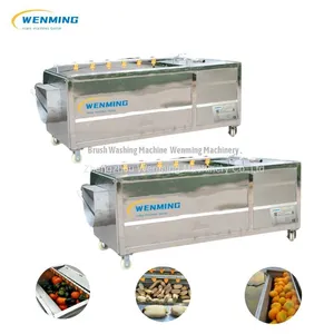 Potato / Carrot / Pumpkin / Lotus Root Brush Washing & Peeling Machine thumbnail-4