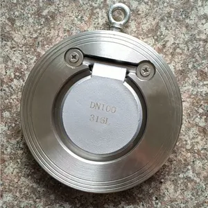 PN16 DN100 Cast Iron GGG50 Double Disc Door Wafer Type Dual Plate Check Valve One Way Check Valve thumbnail-6