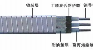 Electric Submersile Power Cable With Excellent Oil Resistance Properties-Iecex and EAC Certified thumbnail-5