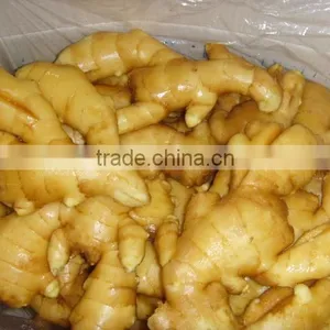 2015 Crop Chinese Shandong Origin Fresh Ginger thumbnail-2