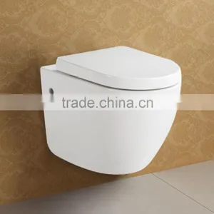 Soft Closing Seat Cover One Piece CE Water Closet thumbnail-5