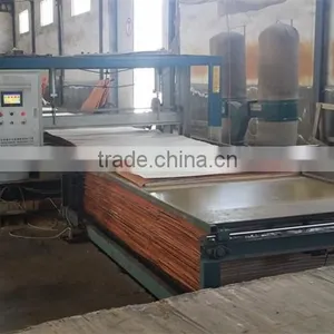 Veneer Forming Machine/woodworking Machine in China thumbnail-1