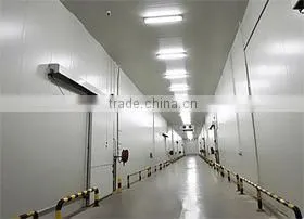 Cold Storage thumbnail-2