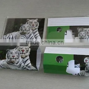 3D Viewer of Tiger 2012 New Style thumbnail-1
