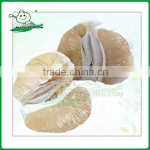 China Fresh Pomelo From Brother Kingdom thumbnail-1