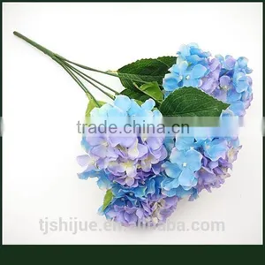 Wholesale Wedding Flowers Blue Hydrangeas Palnts thumbnail-1