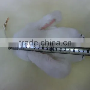 Plush Rabbit Keychain thumbnail-6