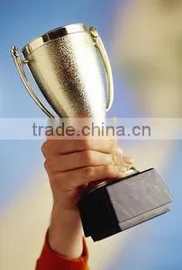 High-quality Metal Crafts Gifts Souvenir Trophy or Sport Cup thumbnail-2