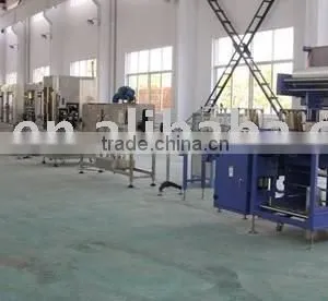 PE Film Hot Shrink Wrapping Machine thumbnail-1