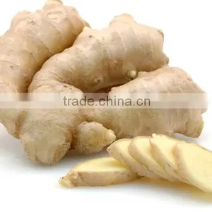 Fresh Ginger thumbnail-1