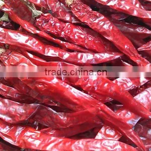 Wholesale 100% Pure Nature Spices Bulk Red Chilli. thumbnail-1