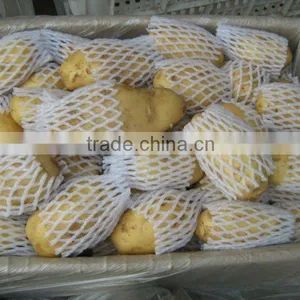 Yellow Fresh Holland Potato in Cartons thumbnail-1