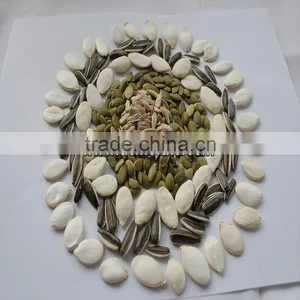Chinese Watermelon Seed Snacks thumbnail-4