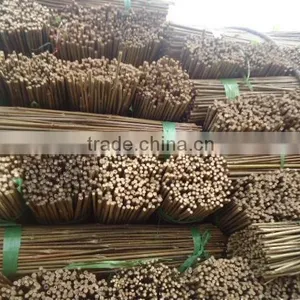 Bamboo Poles thumbnail-1
