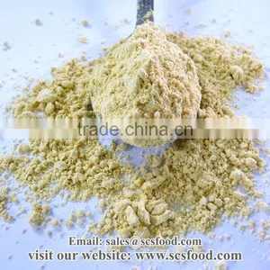 Ginger Powder / Spice & Condiments thumbnail-1