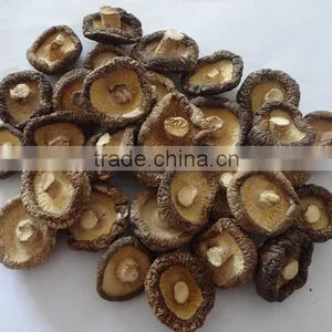 Hot Sale Shiitake Mushroom for Sale thumbnail-5