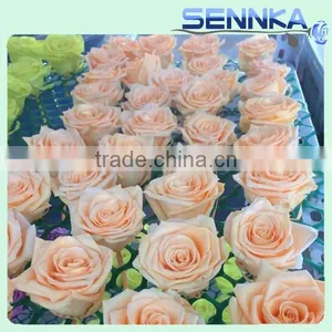 Natural Real Touch Flower Rose 2-3cm Flower Rose Head Preserved Fresh Flower thumbnail-4