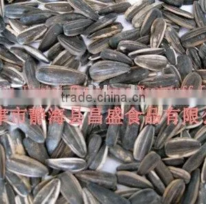 Black Sunflower Seeds thumbnail-1