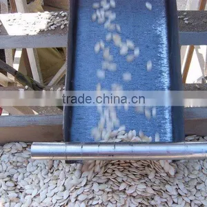 Chinese Shine Skin Pumpkin Seeds 10-11mm thumbnail-3