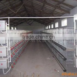 Chicken Laying Cage thumbnail-1