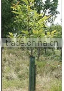 Tree Guard Mesh thumbnail-1