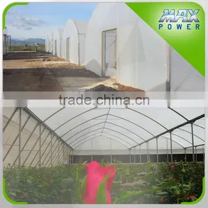 PE Film Hot Hothouse For Arab Market thumbnail-2