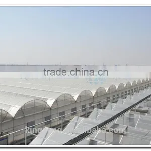 Flat Clear Tempered Transparent Glass Greenhouses for Agriculture (ISO9001:2000) thumbnail-3