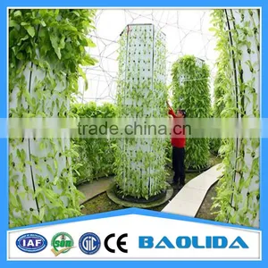 Competitive Price Greenhouse Hydroponics Strawberry thumbnail-1