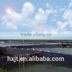 Swimming Pool /Shrimp Pond HDPE Geomembrane Liner(ASTM) thumbnail-4