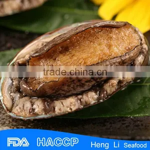 Fresh Live Frozen Abalone thumbnail-1
