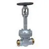 Bellow Seal Gate Valve thumbnail-1