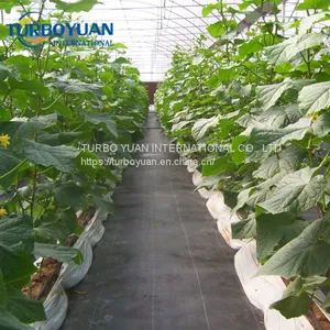 Black Plastic PP Ground Cover Mesh Mat for Greenhouse thumbnail-5
