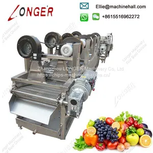 Hot Sale Automatic Industrial Onion Hot Air Drying Machine Vegetable Dryer Machine thumbnail-2